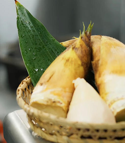 春筍ファームで採れたたけのこ