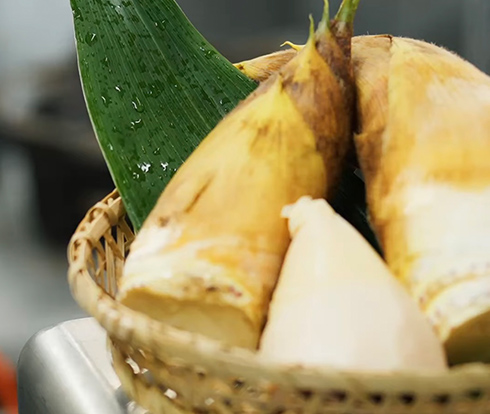 有度山日本平竹の子