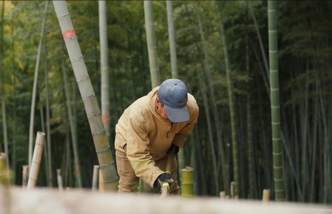 春筍ファームについて