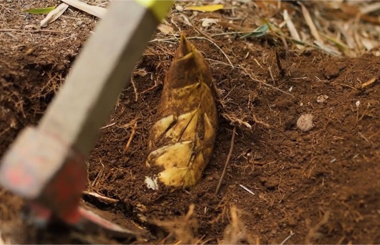 プライバシーポリシー