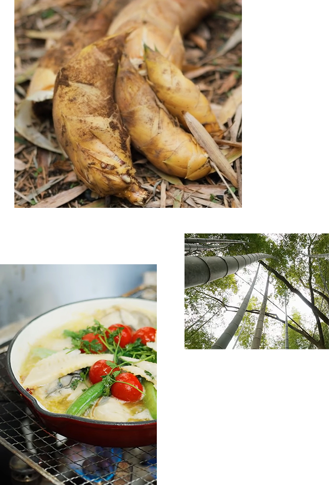 国産筍の格別な香りと味わいをぜひご賞味ください。